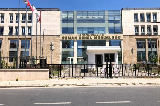 Orman Genel Müdürlüğüne 496 sözleşmeli personel alınacak