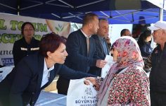 Koçarlı’da Kışlık Fide Dağıtımına Vatandaşlardan Yoğun İlgi
