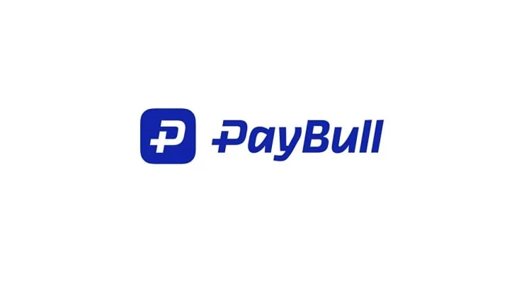 Paybull Soruşturmasında 9 İlde Operasyon: 25 Şüpheli Gözaltına Alındı