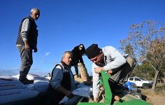 Salihli Belediyesi Buğday Ekimine Başladı