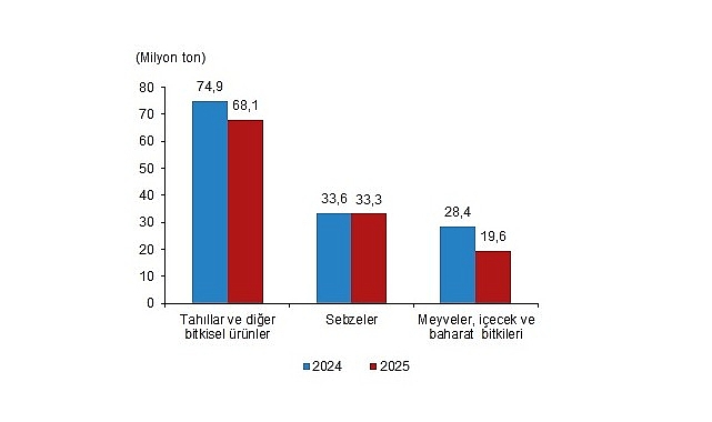 Bitkisel Üretim İstatistikleri, 2025