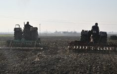 Büyükşehir’in Tohumları Sarıçalı Mahallesi’nin Merasını Yeşertecek