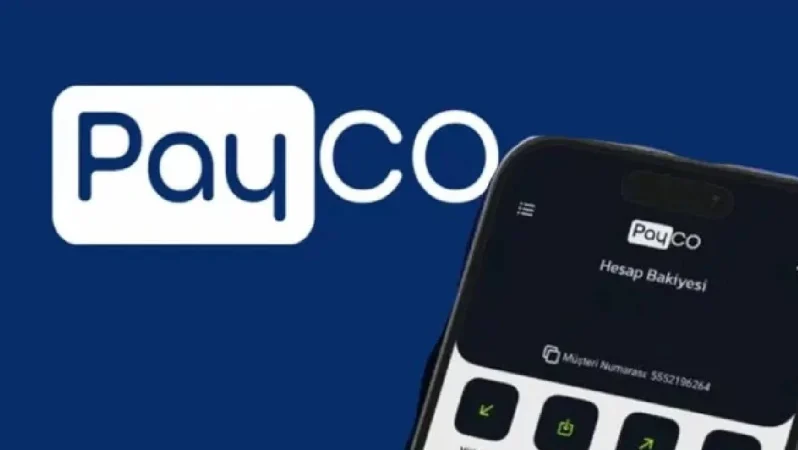 PAYCO Soruşturmasında İkinci Dalga: 6 İlde 28 Şüpheli Gözaltına Alındı