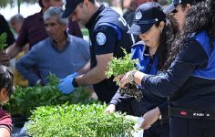 Büyükşehir’den Salihlili Üreticilere 34 Bin Sebze Fidesi