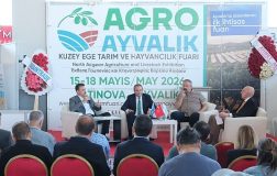Tarımın Kalbi Ayvalık’ta Attı: Kuzey Ege Belediye Başkanları Zeytin Zirvesi’nde Buluştu