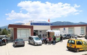 Jolly’ye Brandverse Awards’tan Altın Ödül!