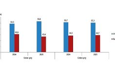 Uluslararası Göç İstatistikleri, 2025
