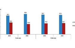 Uluslararası Göç İstatistikleri, 2025